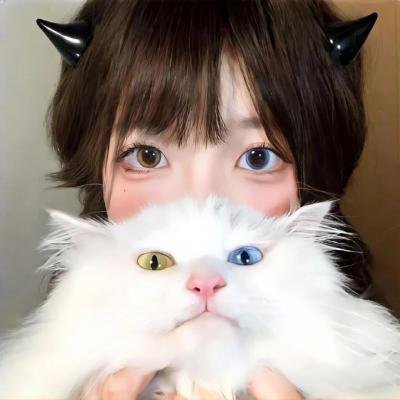 柳生家族的阴谋